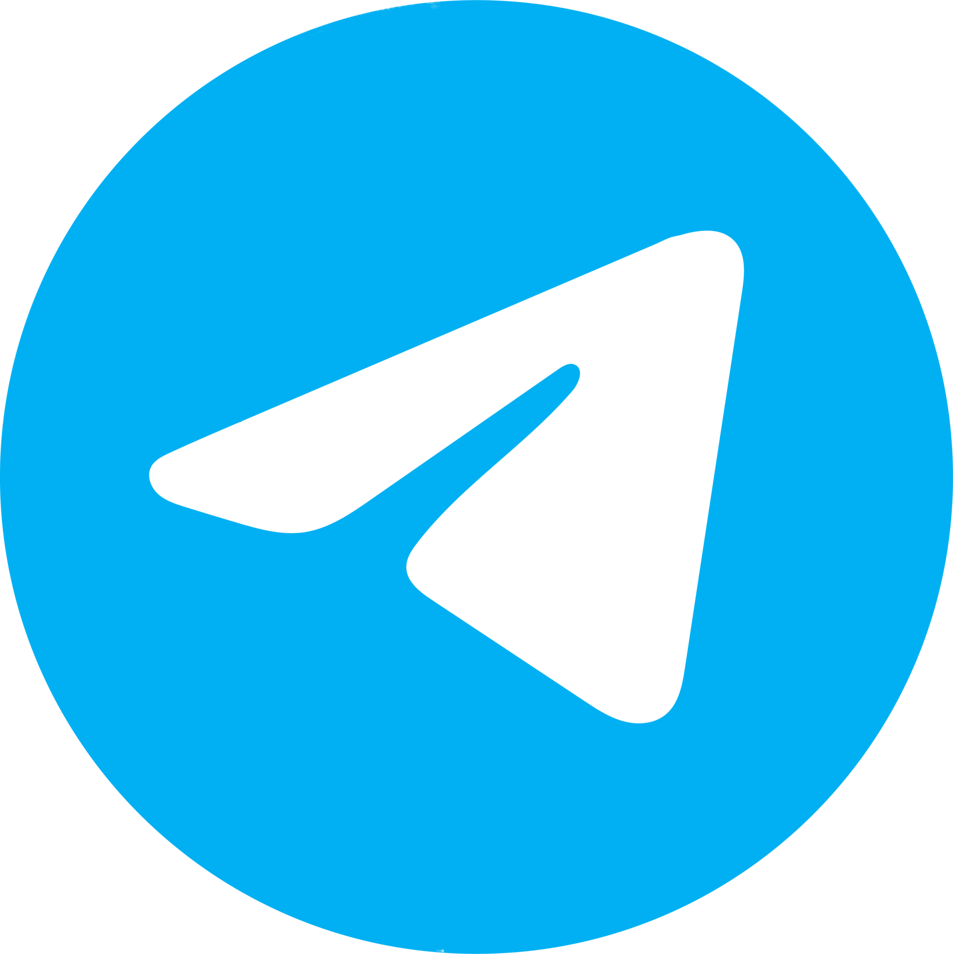 Telegram Logo